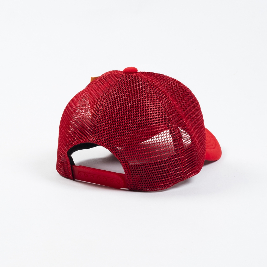 STILL BE FRIENDS TRUCK HAT IN RED