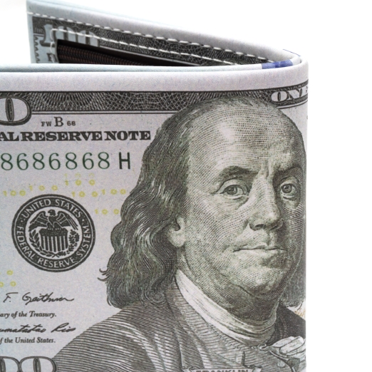 DOLLAR BILL WALLET