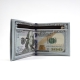 DOLLAR BILL WALLET